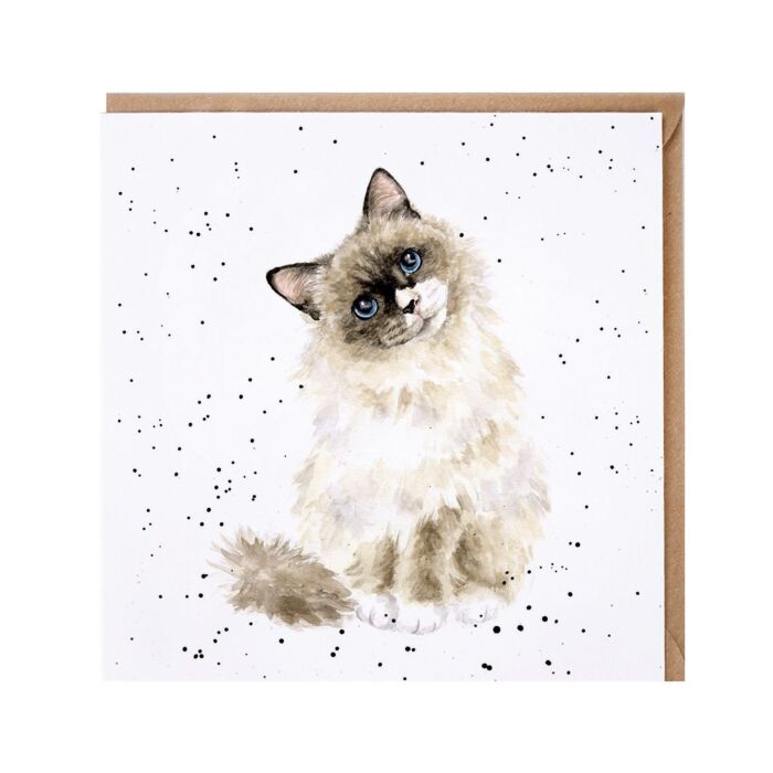 Wrendale Designs Paws for Thought Cat Card